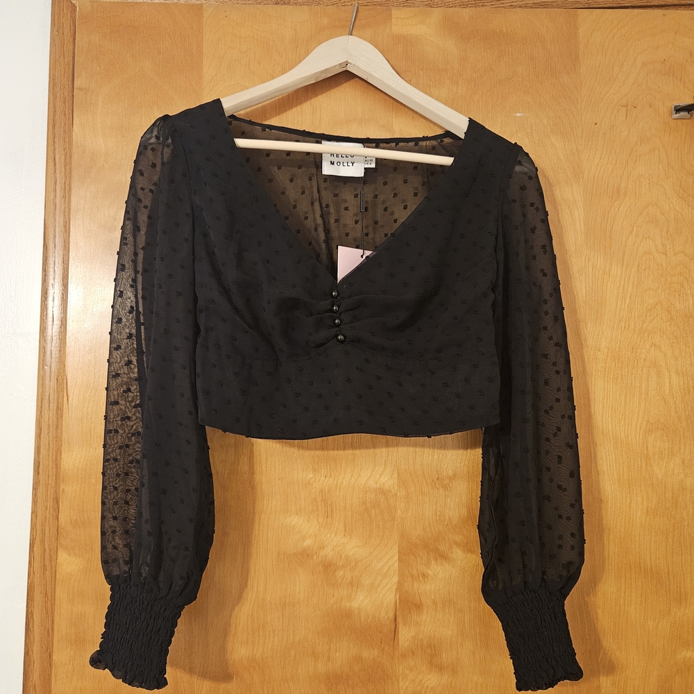 Hello Molly Black Sheer Blouse